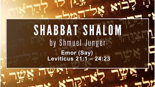 Emor Say – Leviticus 211 – 2423  Shabbat Shalom with Shmuel [upl. by Hutton827]