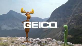 The Best Geico Lizard TV Commercials of All Time  Top 10 [upl. by Lorianne]