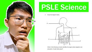 Trying the PSLE 2023 Paper  Science [upl. by Yednarb]