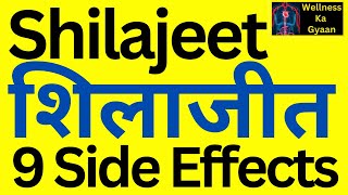 शिलाजीत  Shilajit  के 9 Side Effects  Wellness Ka Gyaan [upl. by Aihsat]