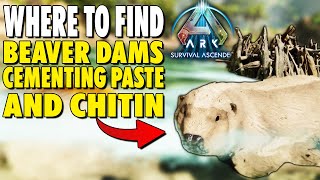 WHERE TO FIND CEMENTING PASTE  BEAVER DAMS  CHITIN IN ARK SURVIVAL ASCENDED [upl. by Ainivad]