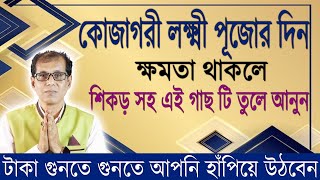 কোজাগরী লক্ষ্মী পূজার দিন শিকড় সহ এই গাছটি তুলে নিয়ে আসুন। টাকা গুনতে গুনতে আপনি হাঁপিয়ে উঠবেন [upl. by Nylitak]