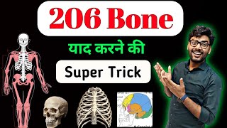 All 206 Bones In Body  Skull bones  14 Facial Bone  Head Bones neet bones [upl. by Aranaj]