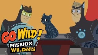 Go Wild Mission Wildnis  Staffel 1 Folge 29  Fressen und Gefressen werden [upl. by Htiduy]