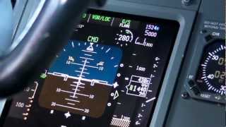 Boeing 737 ILS CAT IIIa Autoland  PFD View [upl. by Horner]