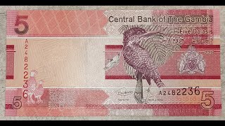 GAMBIA  5  DALASIS  2019  GIANT  KINGFISHER  BANKNOTES  EDUCATIONAL  PAPER MONEY  NOTE [upl. by Nahallac941]