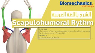 Scapulohumeral Rythm  Biomechanics made simple [upl. by Runkle]