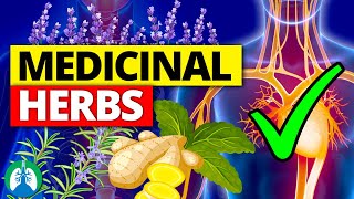 🌱Top 10 Most POWERFUL Medicinal Herbs Backed by Science [upl. by Akemor]