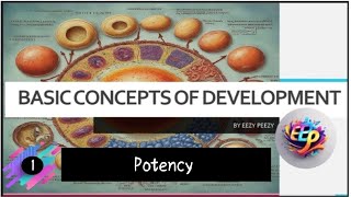 POTENCY  Basic concepts of developmental biology Developmental biology [upl. by Apurk]