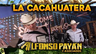 Alfonso Payan y Asociados La cacahuatera [upl. by Oznole]