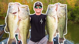 RECORD DAY OF BASS FISHING UNBELIEVABLE [upl. by Cai837]