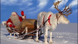 Père Noël amp rennes pour les enfants🦌🎅 les meilleures vidéos du Papa Noël Laponie Finlande Rovaniemi [upl. by Rokach]