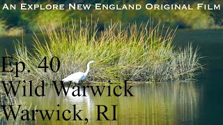 Episode 40 quotWild Warwickquot Warwick RI [upl. by Meerak]