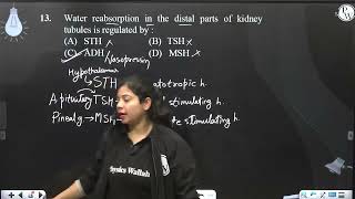 Water reabsorption in the distal parts of kidney tubules is regulated by [upl. by Herzberg520]