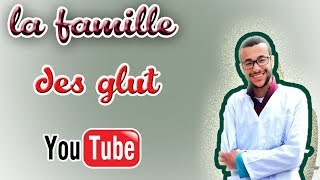 10 la famille des GLUT [upl. by Esihcoc]