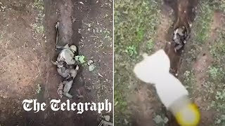 Moment Russian soldier catches and throws away Ukrainian drone bombs [upl. by Adnerb]