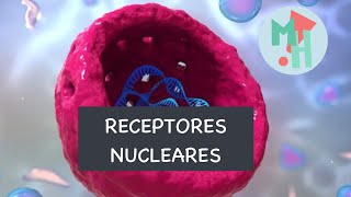 RECEPTORES NUCLEARES CASCADA DE SEÑALIZACIÓN [upl. by Fem]