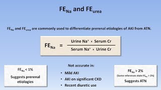 Acute Kidney Injury Part 23  Diagnostic Evaluation [upl. by Keele]