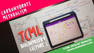 Carbohydrate Metabolism  Part 1  TCML Biochemistry Lectures [upl. by Alicia]