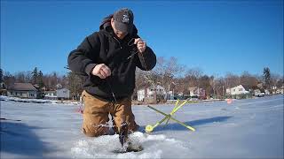 Ice Fishing Beaver Lake Great Meredith Rotary Ice Fishing Derby 2024 [upl. by Sothena]