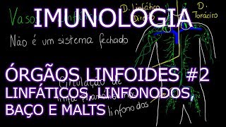 Aula Imunologia  Órgãos Linfoides  Vasos Linfáticos Linfonodos Baço e MALTs  Imunologia 5 [upl. by Coop]