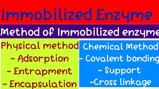 Immobilized Enzyme bio  organic  Msc 3 sem [upl. by Little]