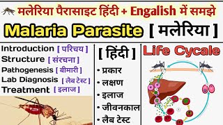 Malaria Parasite in hinid  Malaria Life Cycle  Plasmodium  Treatment of malaria  मलेरिया क्या है [upl. by Gauldin]