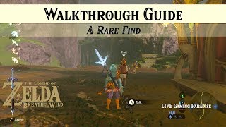 Breath of the Wild  A Rare Find  Walkthrough Guide [upl. by Riocard]