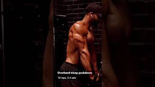 Overhand Tricep pushdown workout Day 3  workout youtubeshorts [upl. by Enelie]