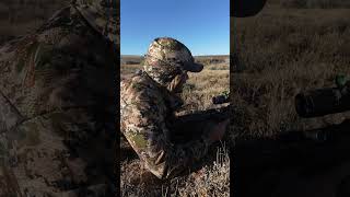 I Had To Shoot Something After A Week Of Nothing hunting backfire deer viralvideo [upl. by Sema]