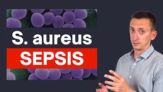 Staphylococcus aureus Sepsis Crucial Tips for Clinicians [upl. by Blossom]