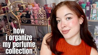 HOW I ORGANIZE MY PERFUME COLLECTION  2024 [upl. by Arlin]