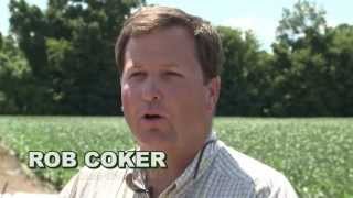 Mississippi Soybean Farmer Rob Coker on Increasing Irrigation Efficiency [upl. by Okiron]