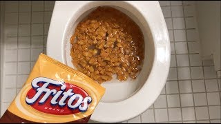 Will it Flush  Fritos [upl. by Vanhomrigh878]