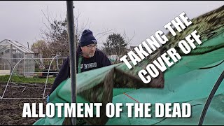 Polytunnel Cover Replacement Part 1 [upl. by Akiret994]