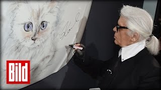 Karl Lagerfeld liebt seine Katze  Und schenkt ihr eine FotoAusstellung [upl. by Menis]