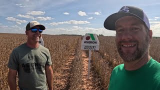 The Secrets to Massive Soybean Yields Part 1 [upl. by Hazel]