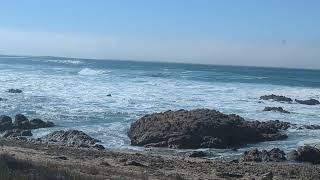 Asilomar State Beach [upl. by Frere]