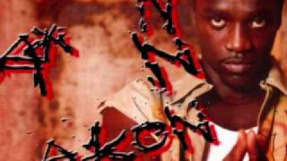 Akon  Struggle Everyday  Lyrics [upl. by Geirk925]