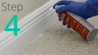 How to Get Rid of Bed Bugs Step 4  4 Spray amp Powder Cracks amp Crevices [upl. by Massab]