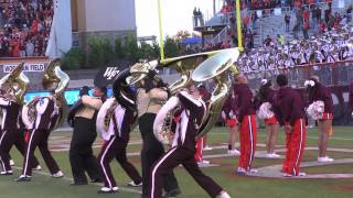 Hokie Pokey at Virginia Tech [upl. by Oirramed907]