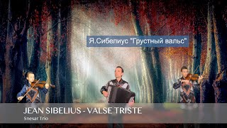 Jean Sibelius  Valse triste [upl. by Lowis698]