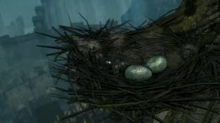 Dark Souls How to get to the Birds nest in Northern Undead Asylum  more [upl. by Adnilem]