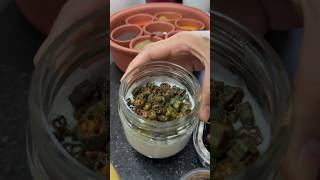 chatorirajani tiffin food tiffine [upl. by Esiahc]