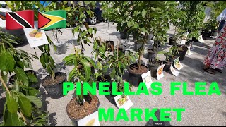 PINELLAS FLEA MARKET  2024 [upl. by Cherye841]