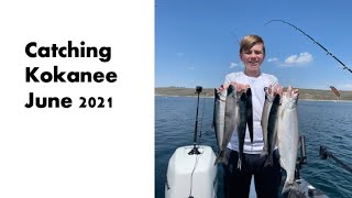 Catching Kokanee Salmon  June 2021 Strawberry Reservoir UT [upl. by Noirb301]