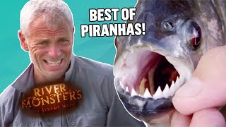 PIRANHA TANK FEEDING Piranha Fish ATTACKING and FEEDING on MEAT  GONE IN SECONDS [upl. by Luther935]