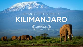 Journey to the Summit of Mount Kilimanjaro [upl. by Finella]