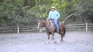 Spade bit bridle horse training with James W Moody [upl. by Macdonald]