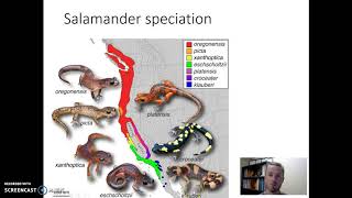 Allopatric and Sympatric Speciation [upl. by Zane]